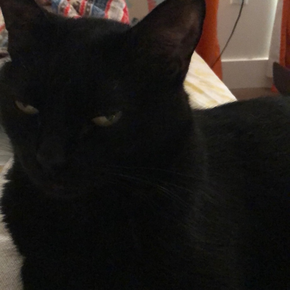 Meet your Posher, Rhonda